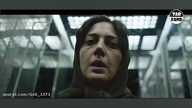 نقد کردن عنکبوت مقدس