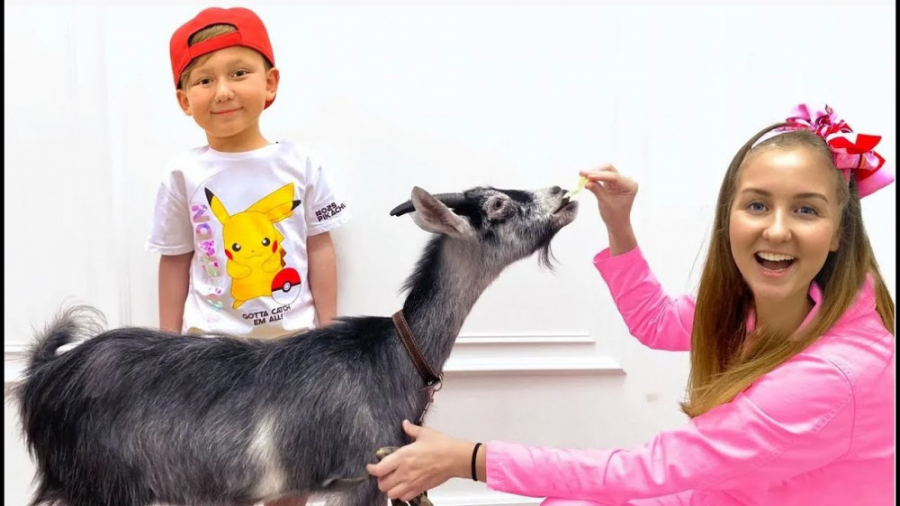 برنامه کودک سنیا  داستان حیوان...