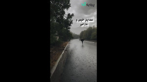 کلیپ احساسی و متن درباره پاییز...