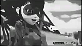 وقتی که گربه سیاه میفهمه دختر...