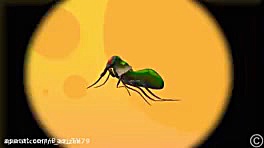 ناستیا جدید یادت نره دنبالم کن...