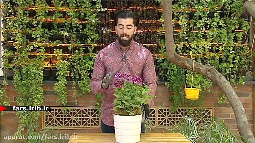 آموزش تکثیر و نگهداری گل &quot...