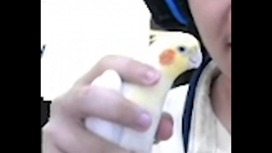 جشن 2 سالگی کانالمون با بی بی...