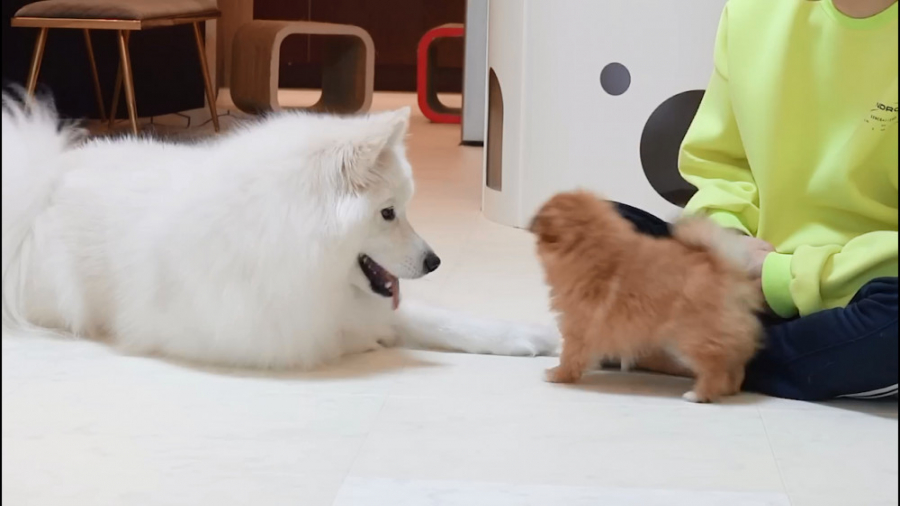 ملاقات کردن مادران و فرزندان س...