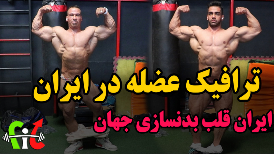 فیت 290  ترافیک عضلات ایرانی