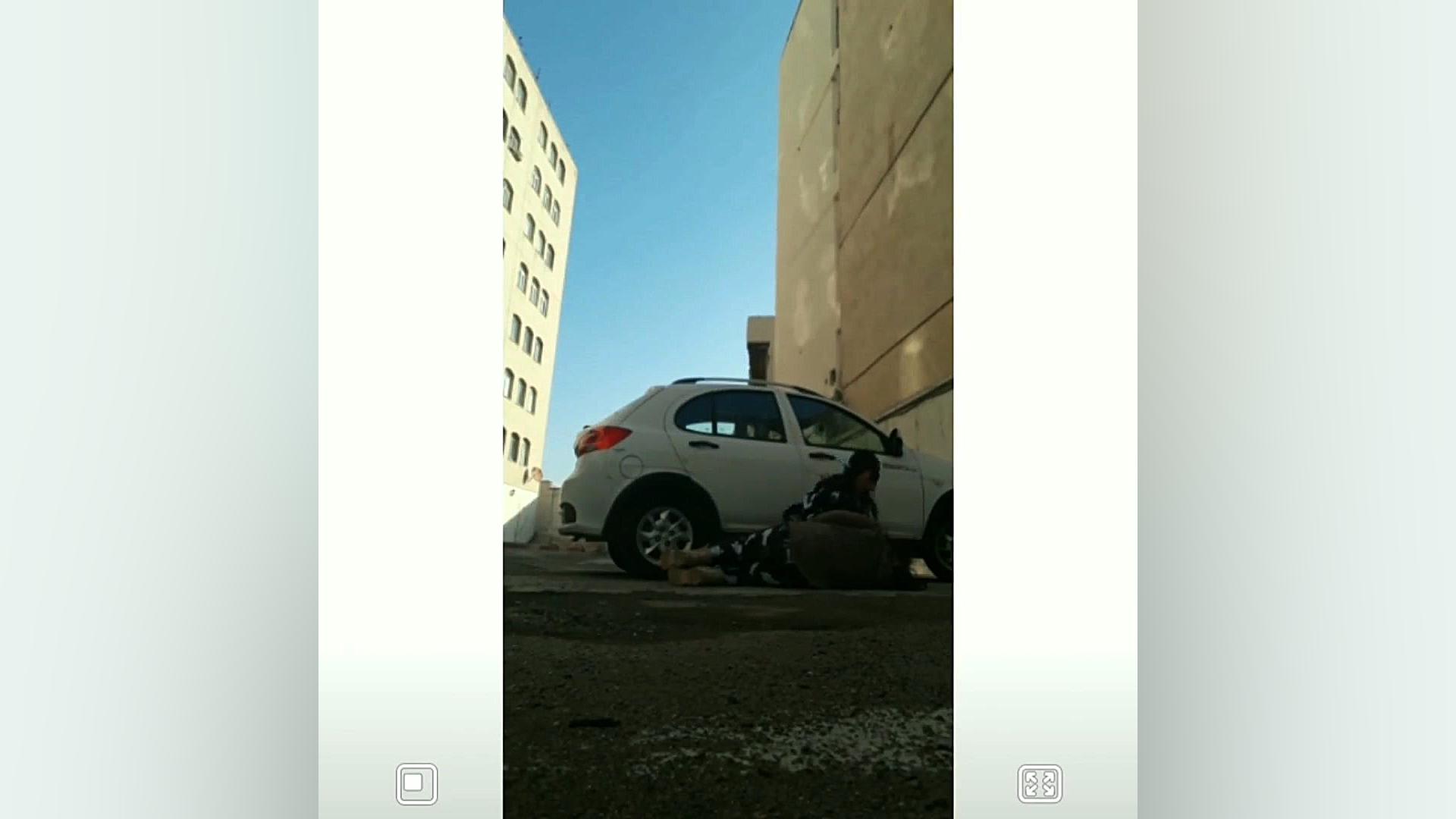 قدیمی سلاله