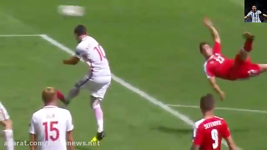 گل قیچی برگردان استثنایی ژردان...