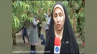 میوه های تابستانی با تاریخ انق...