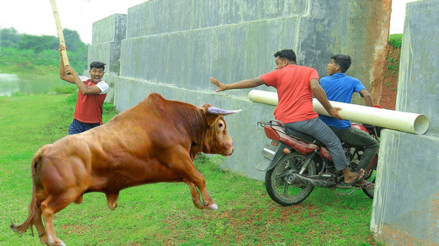 کلیپ طنز خنده دار خارجی  خنده...