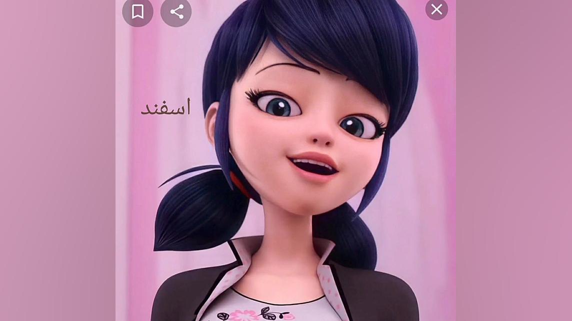 کلیپ برای وضعیت واتساپ