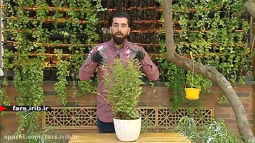 آموزش &quot; تکثیر و پرورش گل...