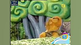 السون و ولسون