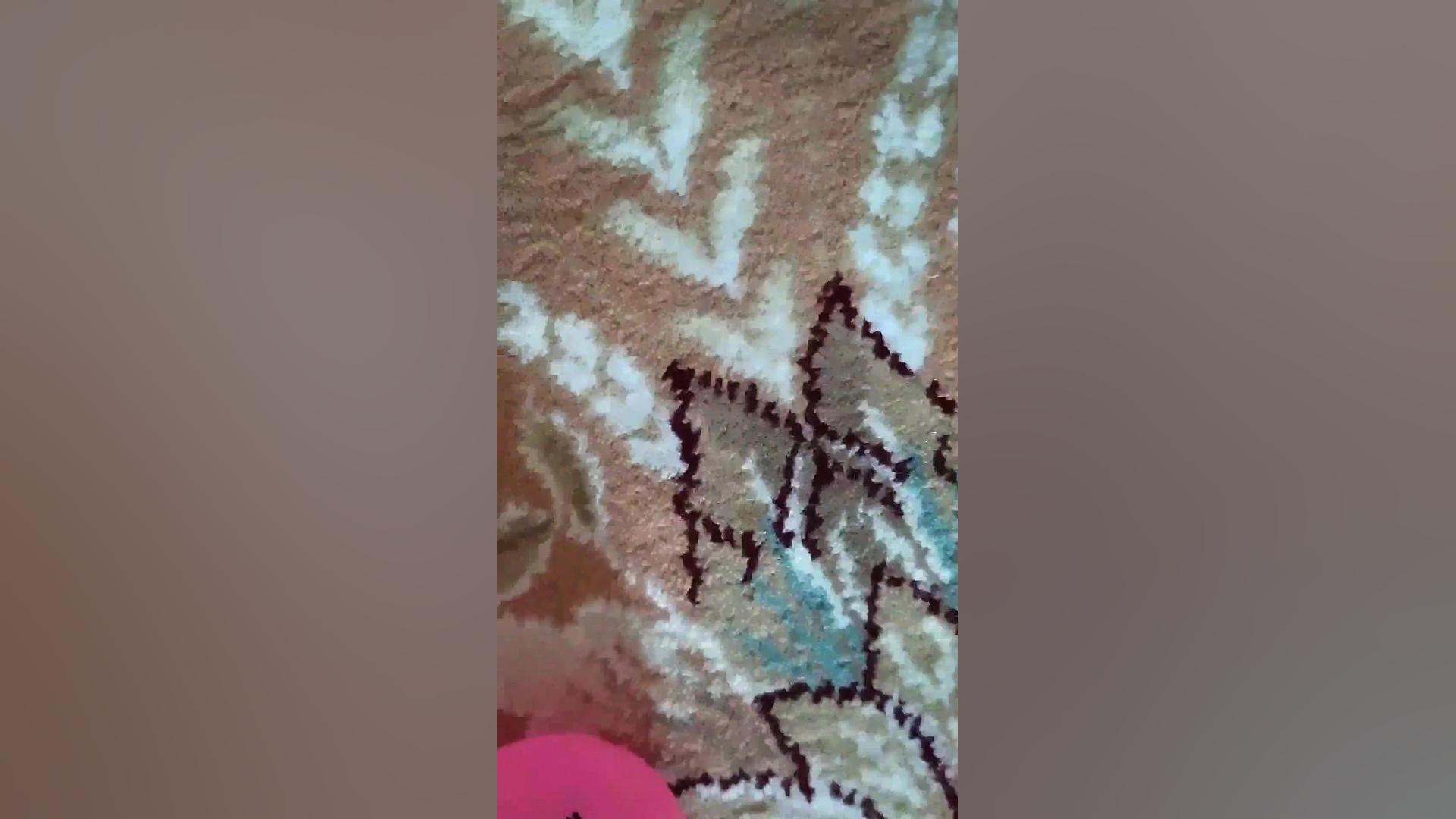 نشان دادن همه ی فیجتام