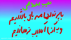 انیمیشن پرنده زخمی