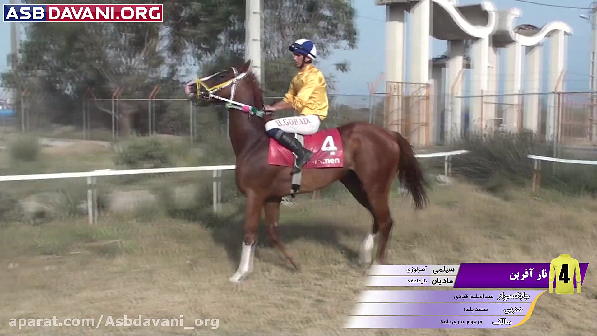 قهرمانی محبوبا  هندیکاپ کلاس 5...