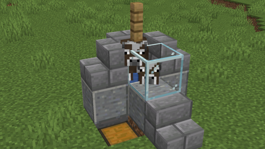 آموزش ساخت کاربردی ترین فارم گ...