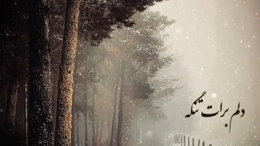 اهنگ عاشقانه دلم برات تنگ شده...