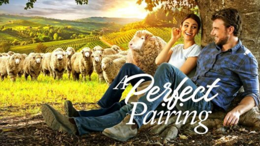 فیلم یک زوج بی نقص A Perfect P...