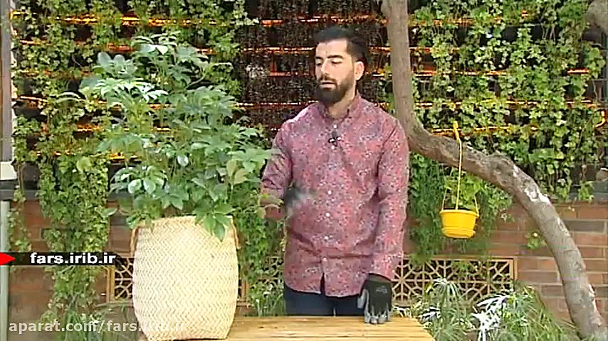 آموزش نگهداری و تکثیر " ش...