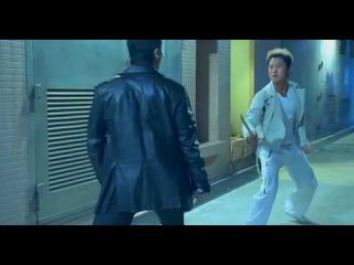 مبارزه از دنی ین donnie yen