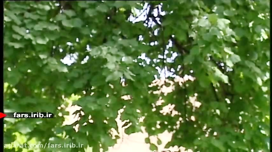 ترانه &quot; شاخه نبات &quot;...