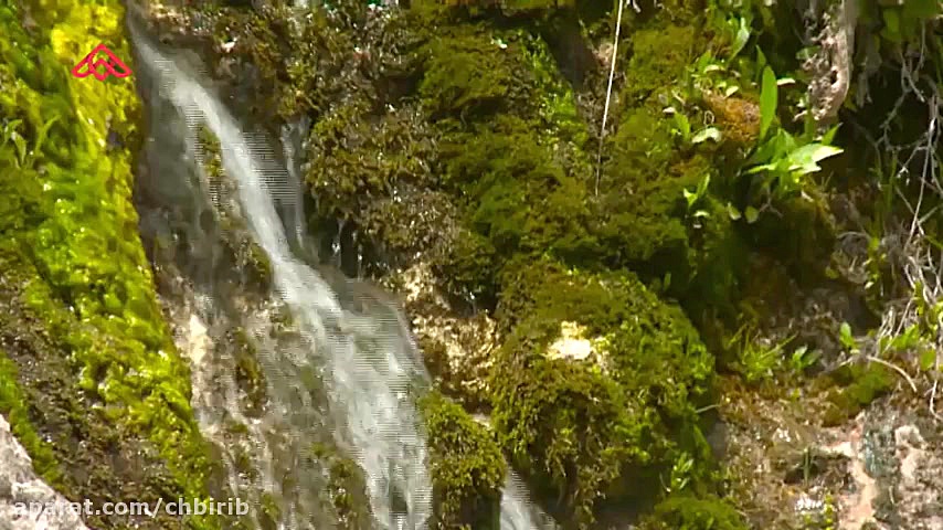 موزیک ویدئو شاد ترکی  آی ایران...