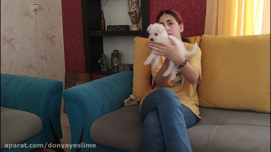 فکر نمیکردم نگهداری از سگ اینق...