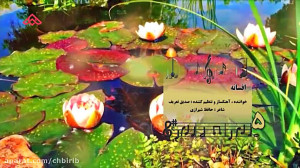 تصنیف زیبای افسانه  صدیق تعریف