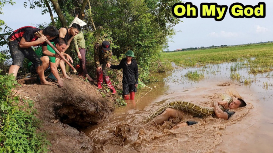 شکار مار غول پیکر وحشتناک  مار...