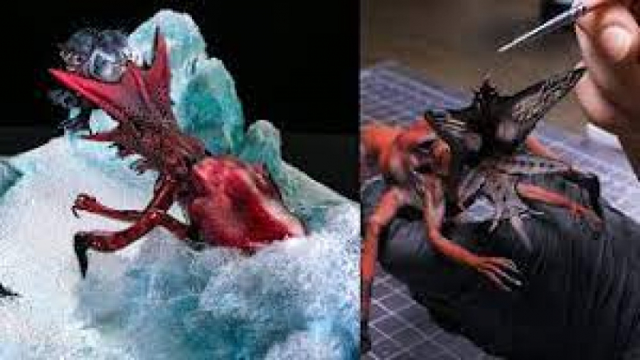 ایده جدید  ایده های خلاقانه  م...