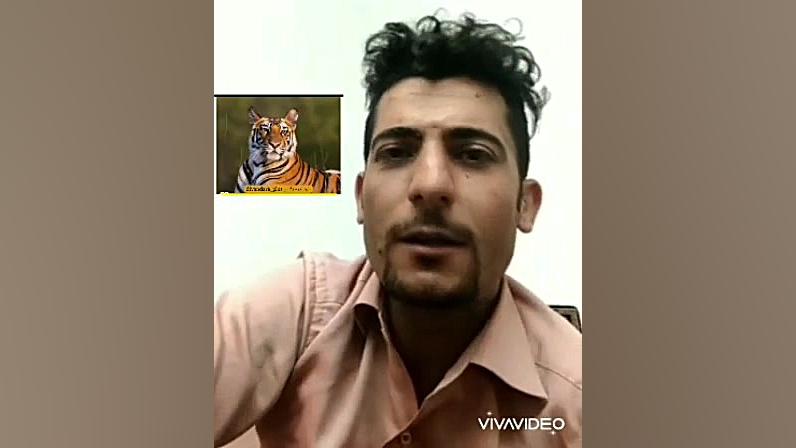 شاهو دەروەن ببرگە