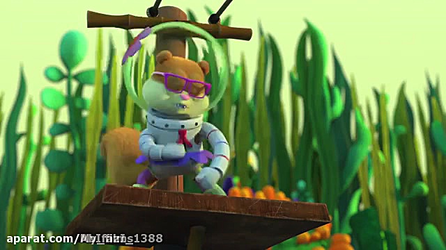 باب اسفنجی در اردو