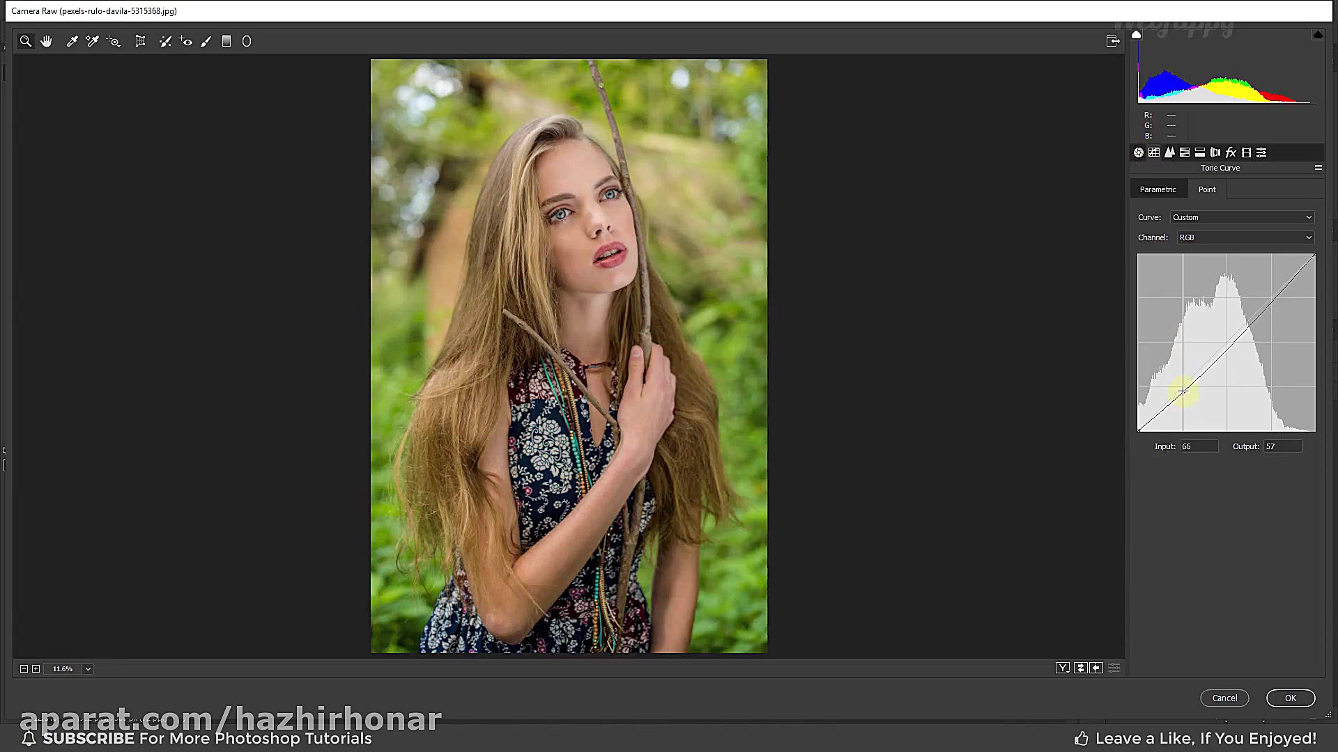 آموزش فتوشاپ درجه بندی رنگ نار...