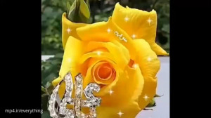 کلیپ شاد برای عید غدیر  عید سع...