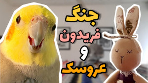 دعوای عروس هلندی سخنگو با عروس...
