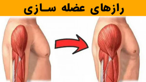 رازهای عضله سازی