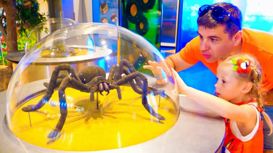 برنامه کودک ناستیا ناستیا کودک...