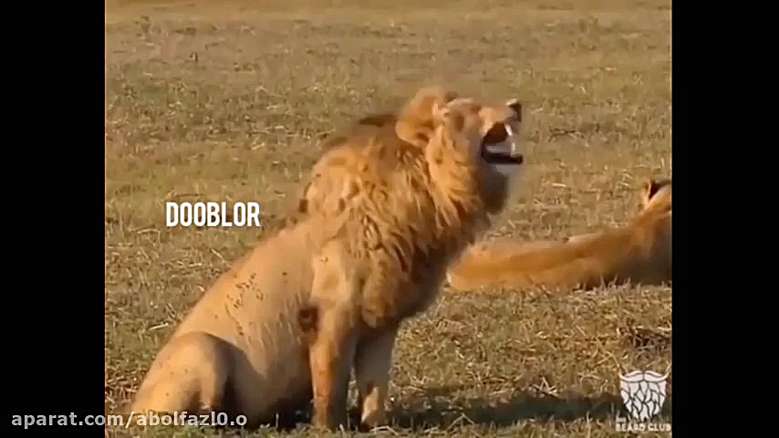 پارت دوم 2 صدا گذاری