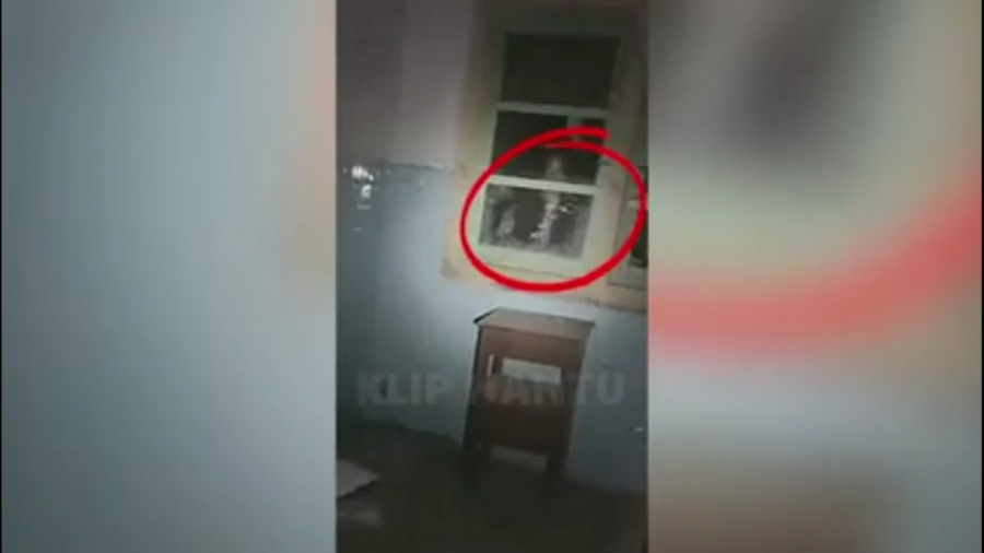 ترسناک ترین تصاویر دیده شده از...