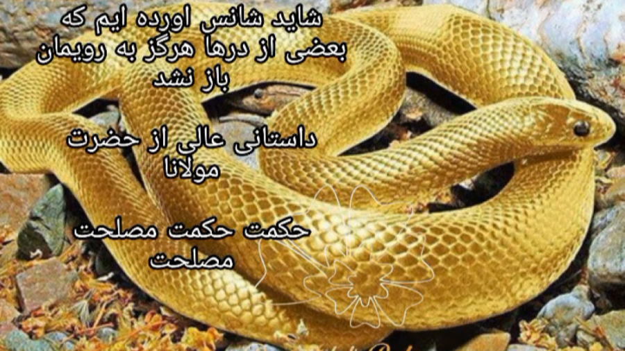 مولانا و حمکت خدا قصه مار