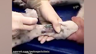 تزریقات وریدی