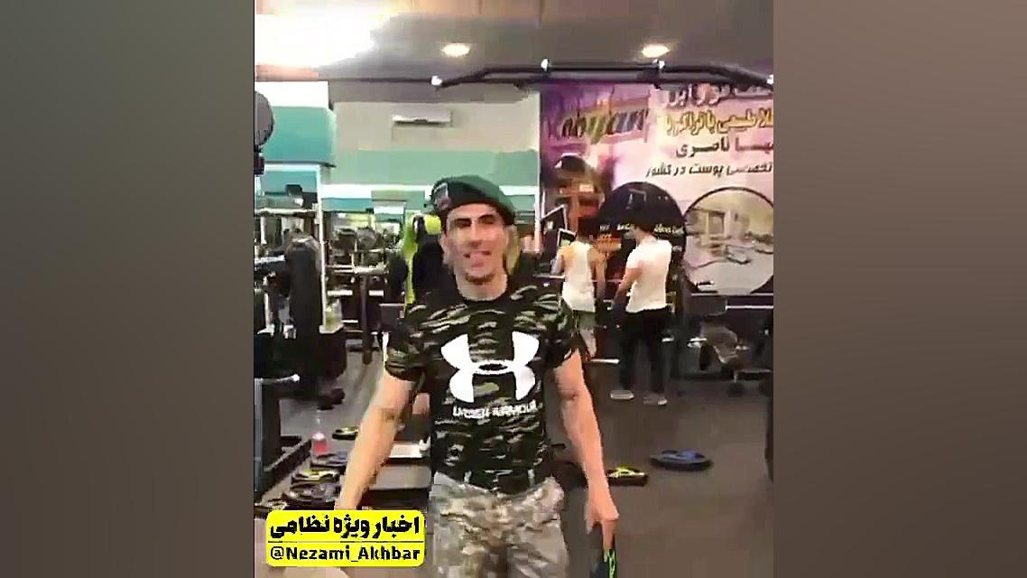 کل‌کل تکاور ایرانی با آمریکایی