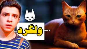 این گربه در دنیای رباط ها و هی...