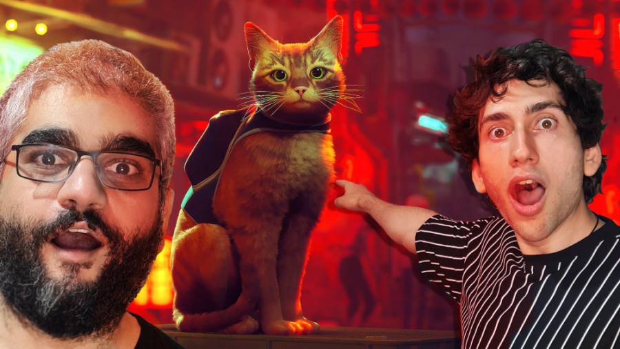 تو این بازی یه گربه‌ایم | بازی...