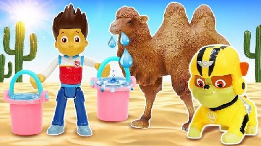 بازی با عروسک سگ های نگهبان اس...