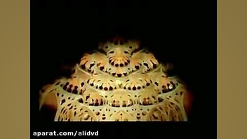 ایران  سفر و گردشگری