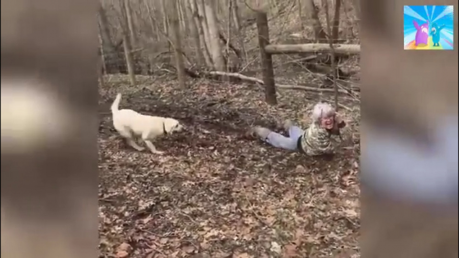 سعی کن نخندی 11