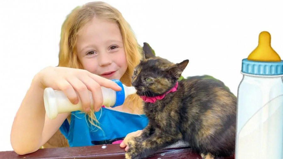 برنامه کودک  برنامه کودک ناستی...