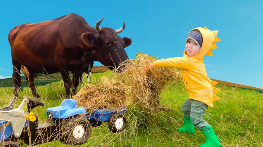 برنامه کودک سینا  سنیا و کار د...