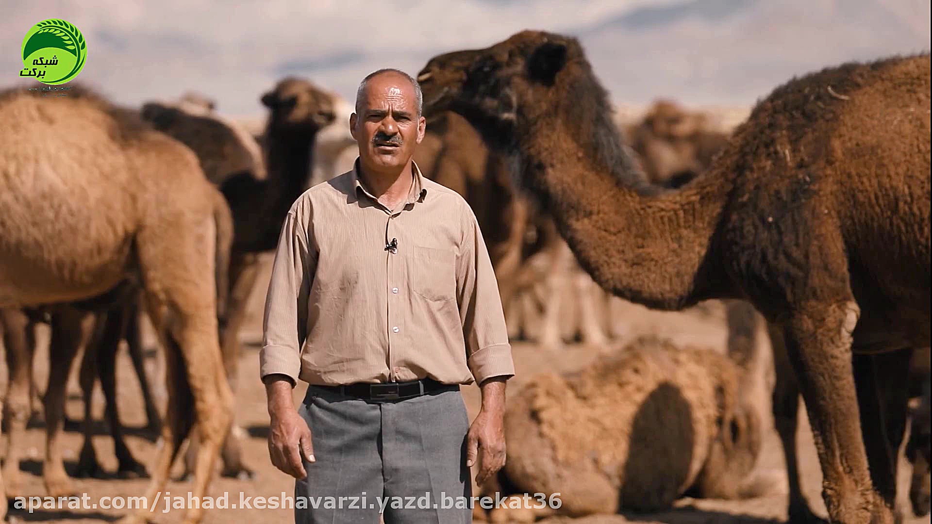 معرفی نمونه ملی استان یزد در س...